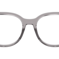 DIOR PrismeO B1I